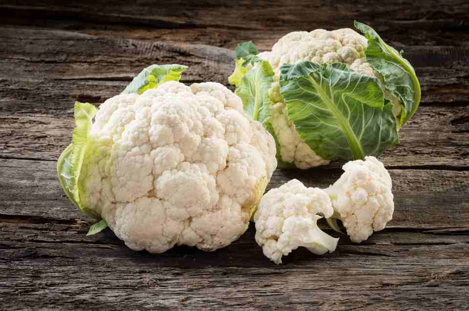 Digestive Health