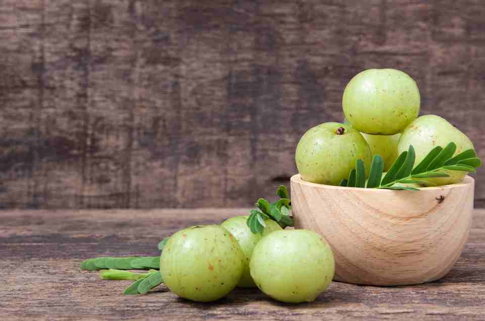 Digestive Health