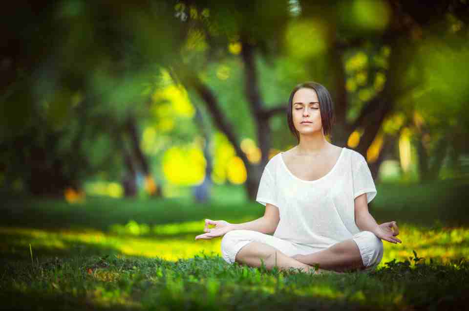 Ayurveda & Well-being