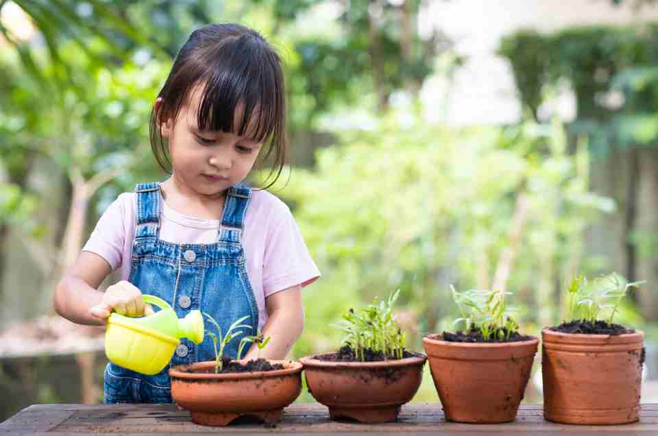 Child Health