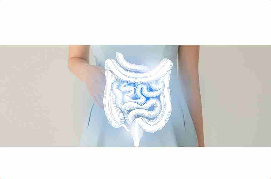 Digestive Health