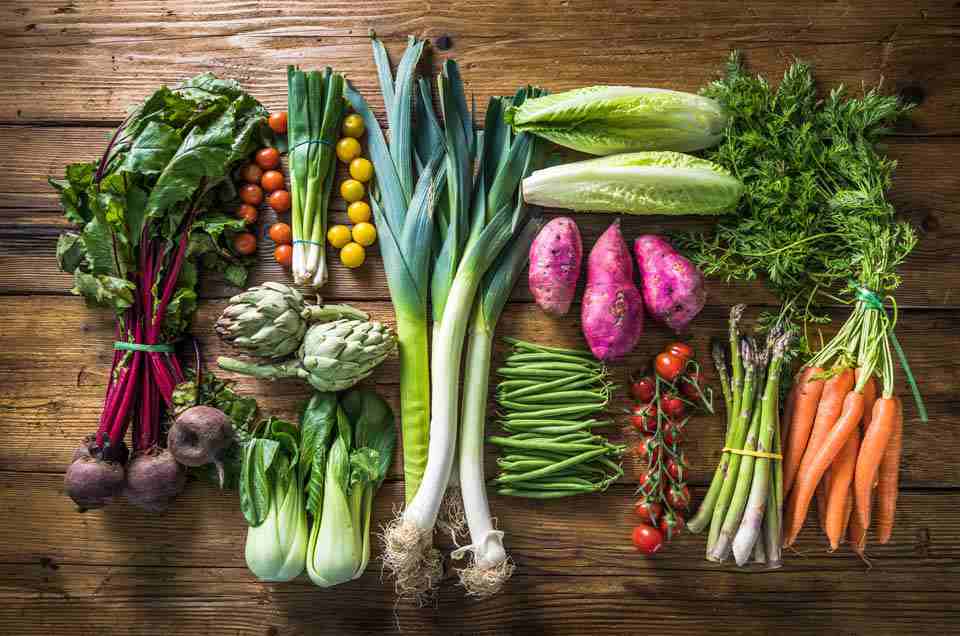 Diet & Lifestyle