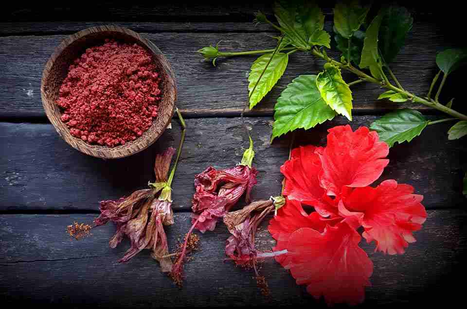 Ayurveda & Well-being