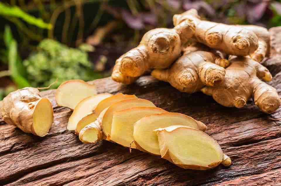 Ayurveda & Well-being