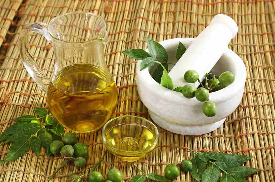 Ayurveda & Well-being
