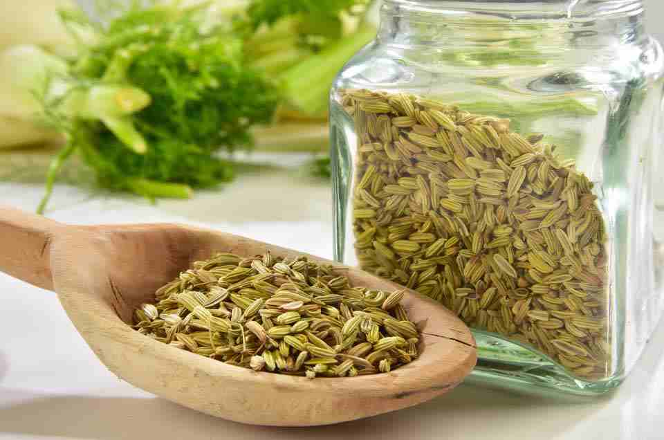 Digestive Health