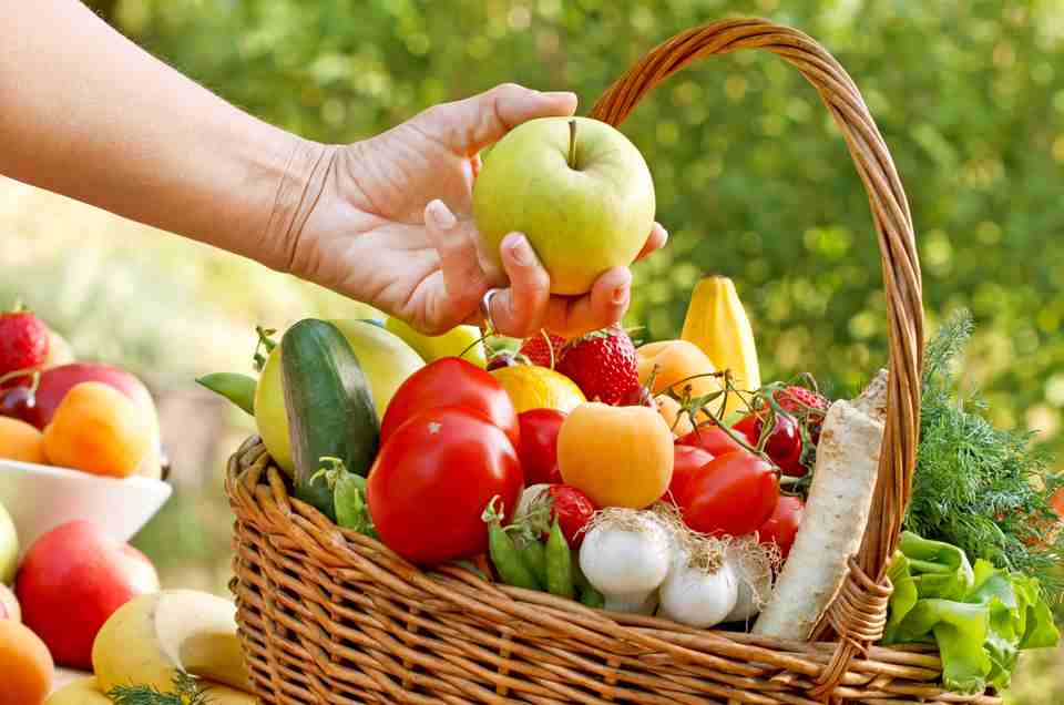 Diet & Lifestyle