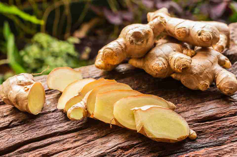 Ayurveda & Well-being