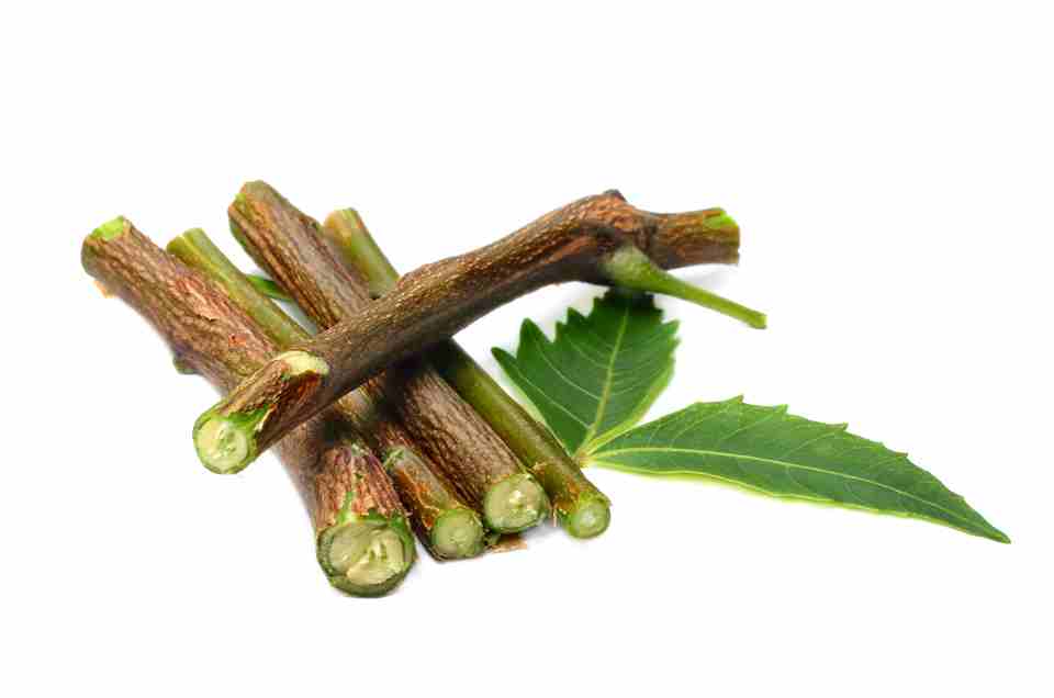 Ayurveda & Well-being