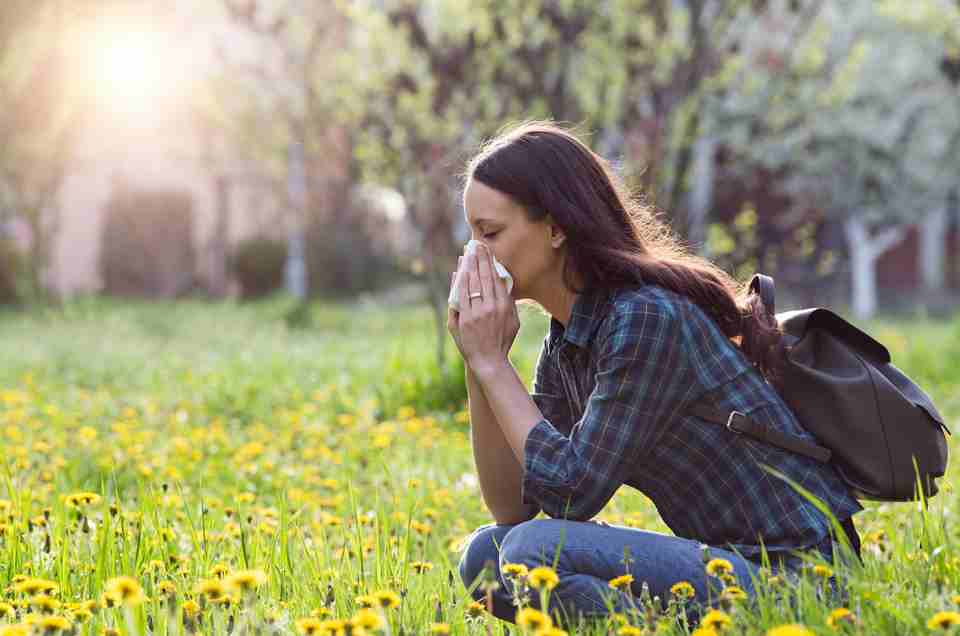 Ayurveda & Well-being
