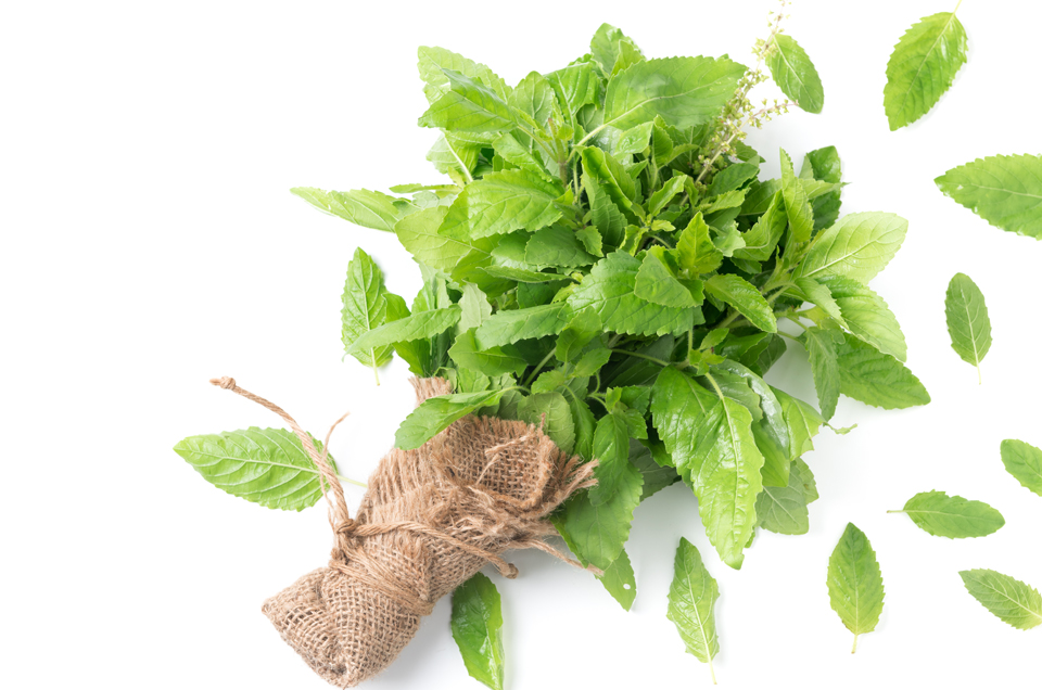 Home Remedy to Strengthen The Pancreas