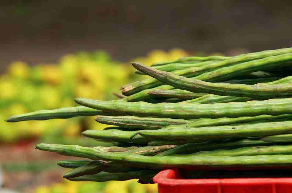 Ayurveda & Well-being