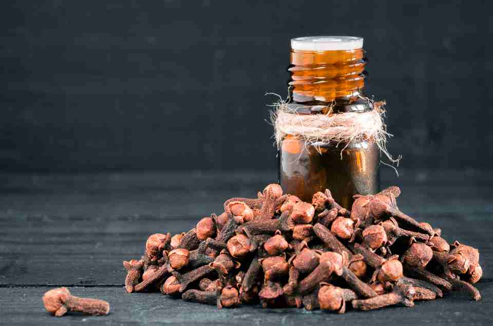Digestive Health