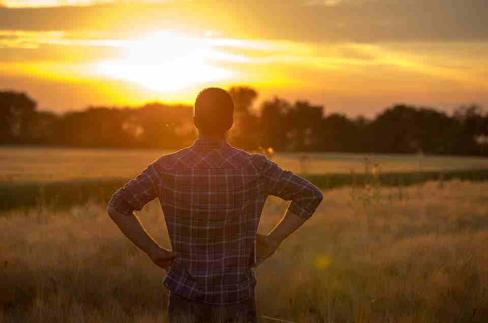 Ayurveda & Well-being