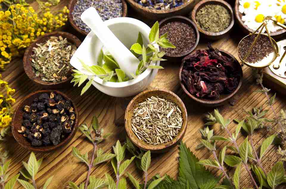 Ayurveda & Well-being