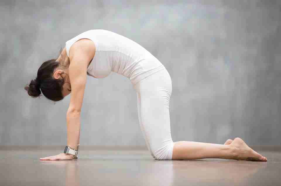 Ayurveda & Well-being
