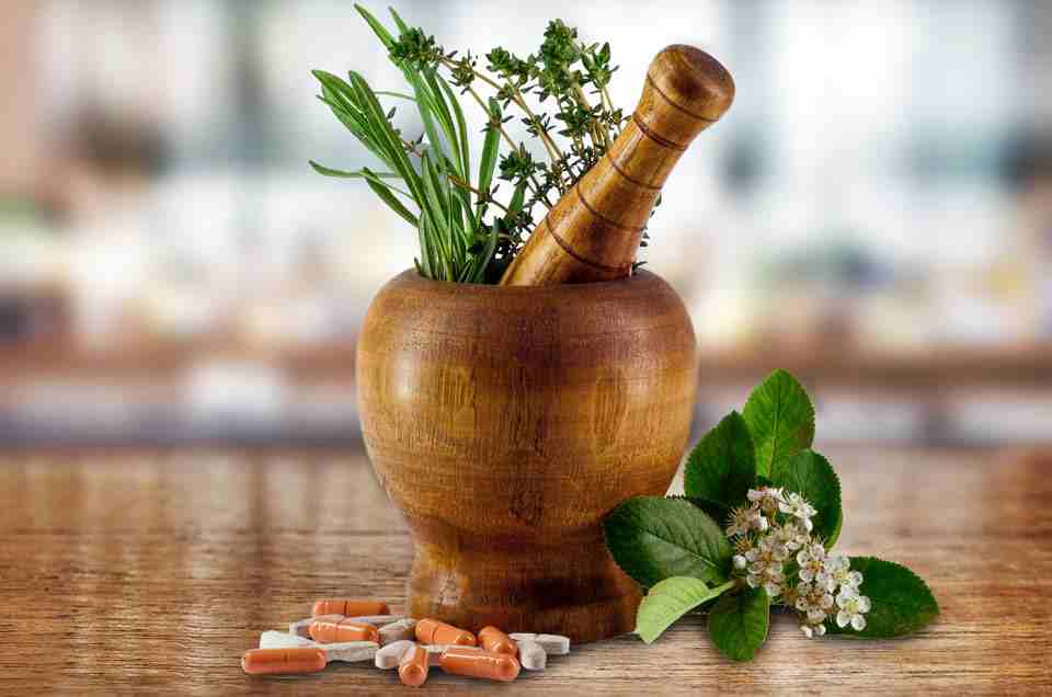Ayurveda & Well-being