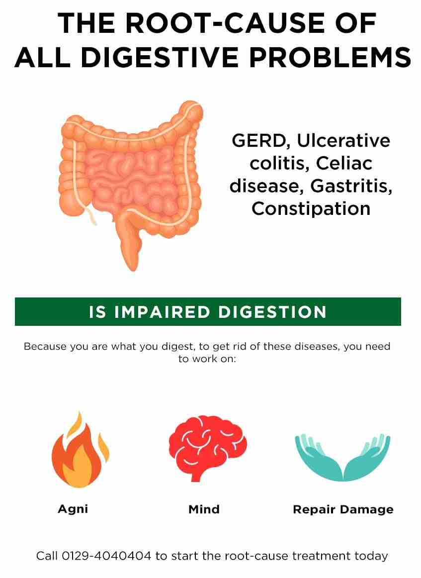 Digestive Health