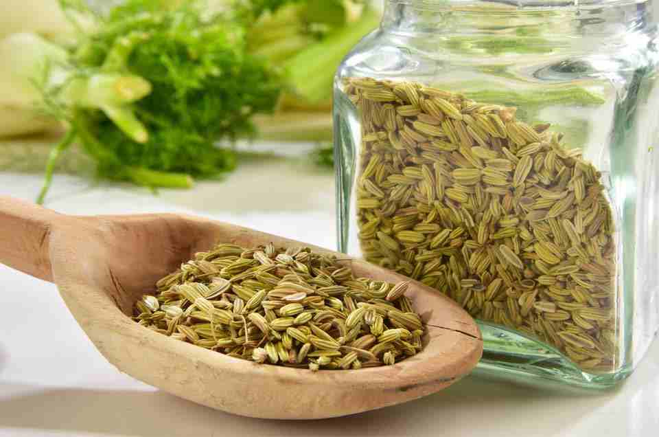 Digestive Health
