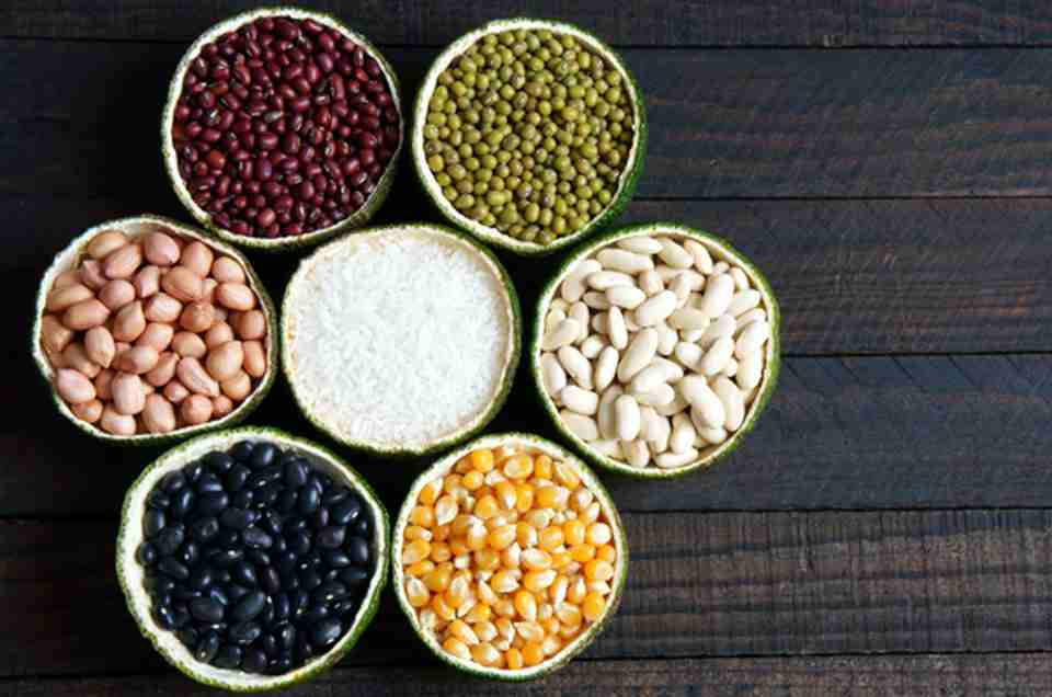 Digestive Health