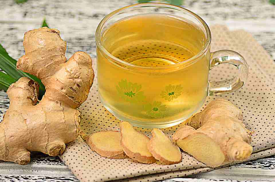 Digestive Health
