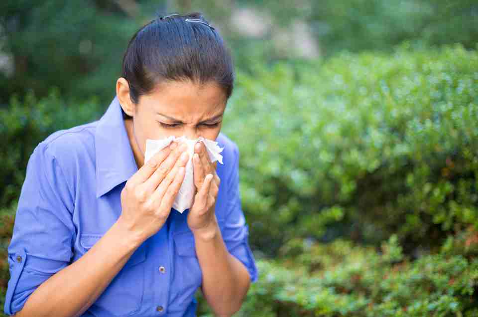 Ayurveda & Well-being