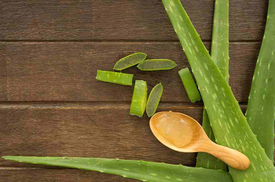 Hair & Skin Care