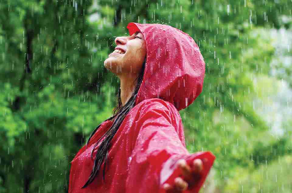 Ayurveda & Well-being