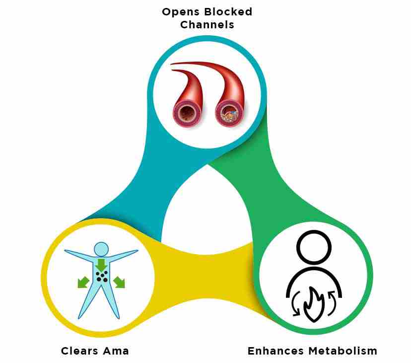 3 Reasons Why Ayurveda Works Best in Obesity