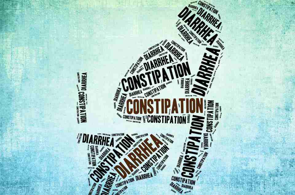 Digestive Health