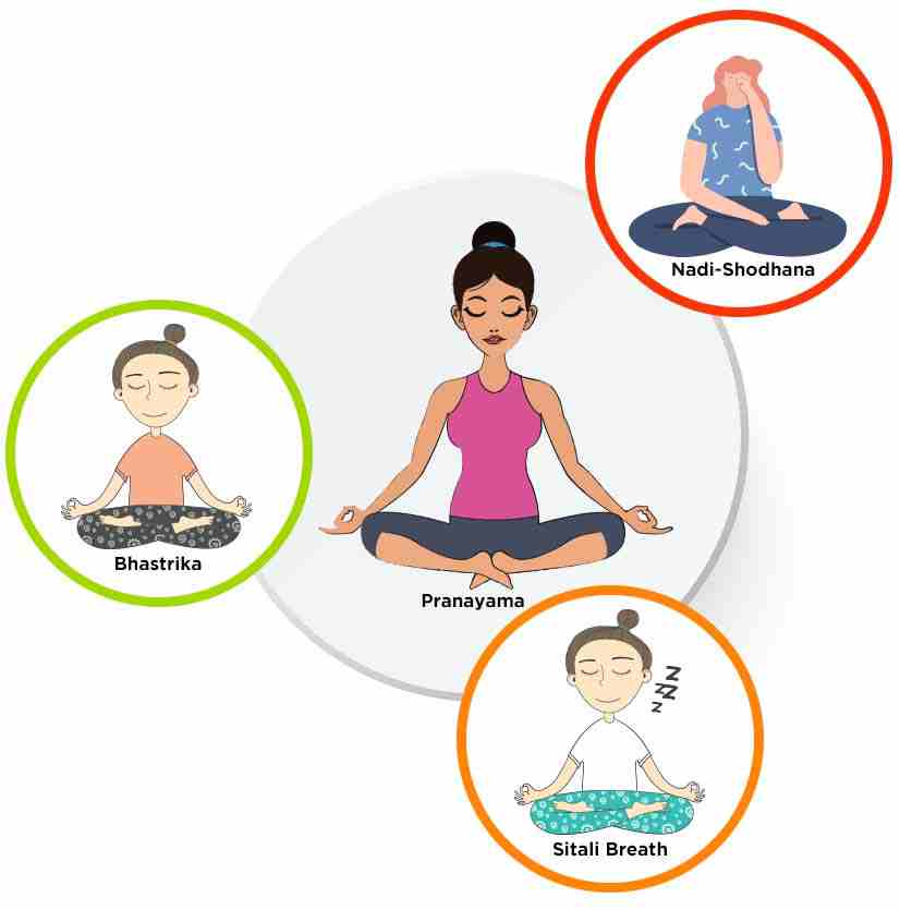 Ayurveda & Well-being