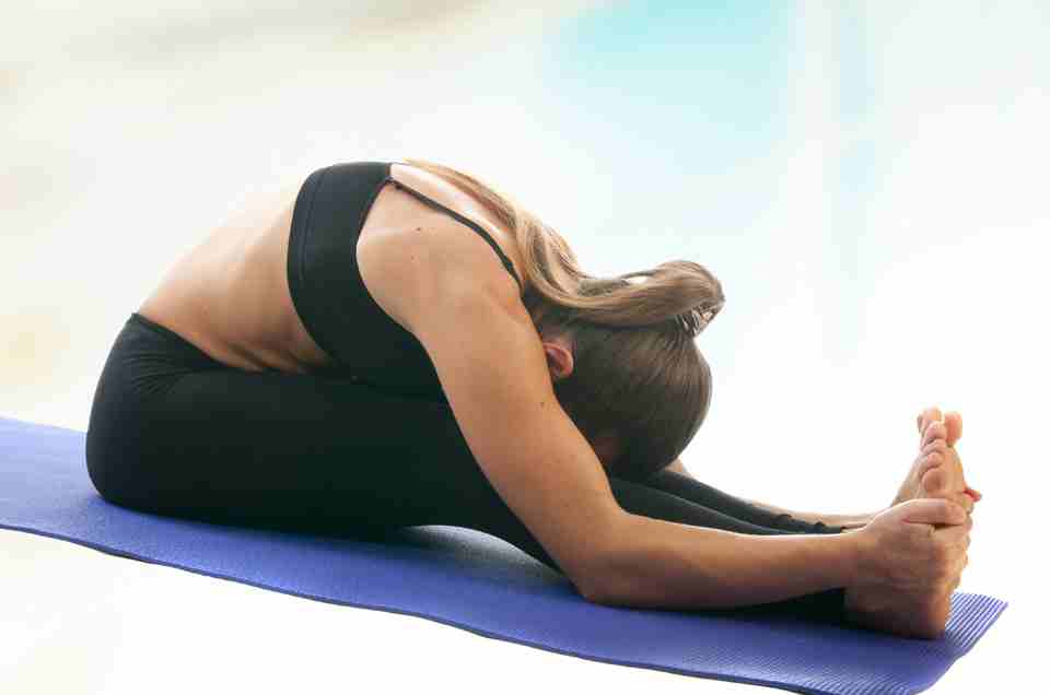 Digestive Health