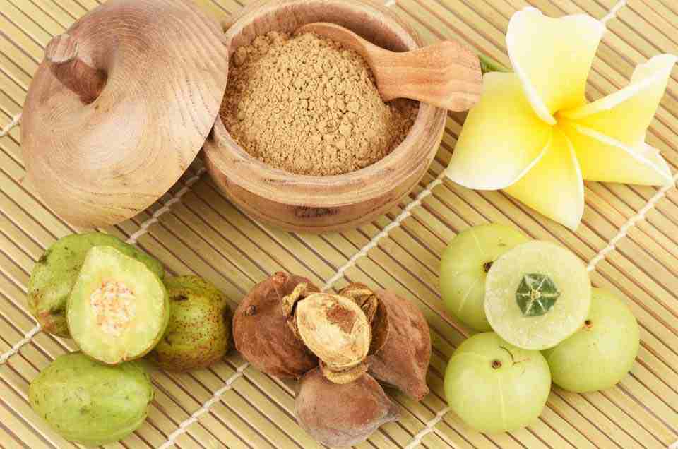 Digestive Health